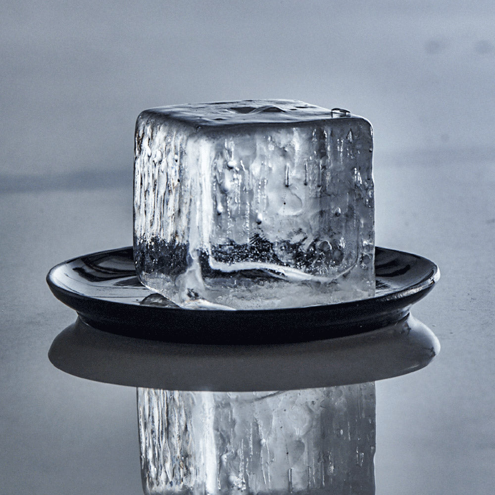 Eiswürfelform mit Deckel von Lurch - 4x4cm - schwarz